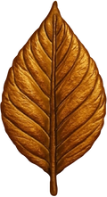 tradecraftcigars